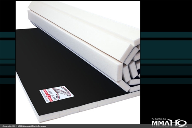 Zebra Roll-Out Mat
